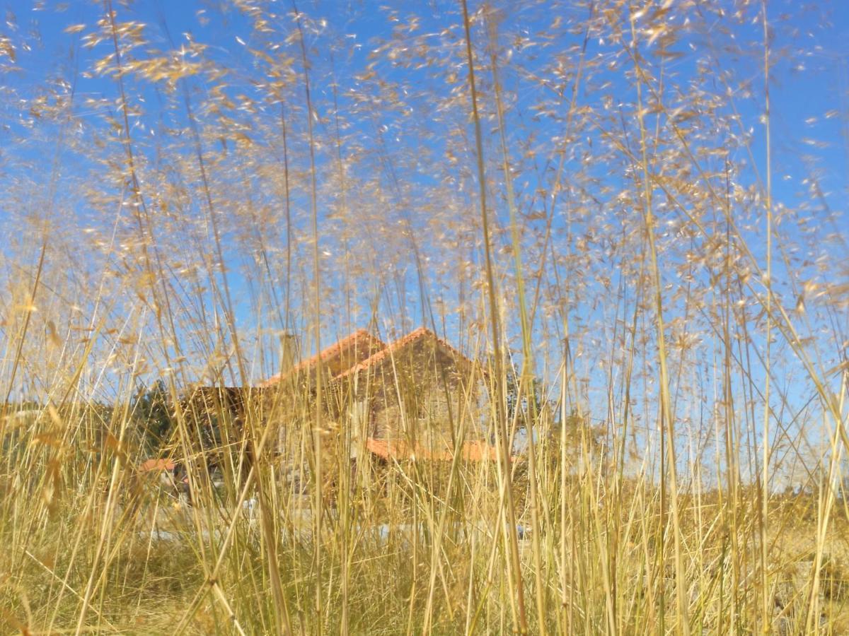 Quinta Da Adarnela *